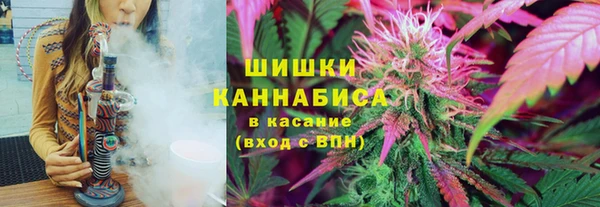 прущая мука Вязники